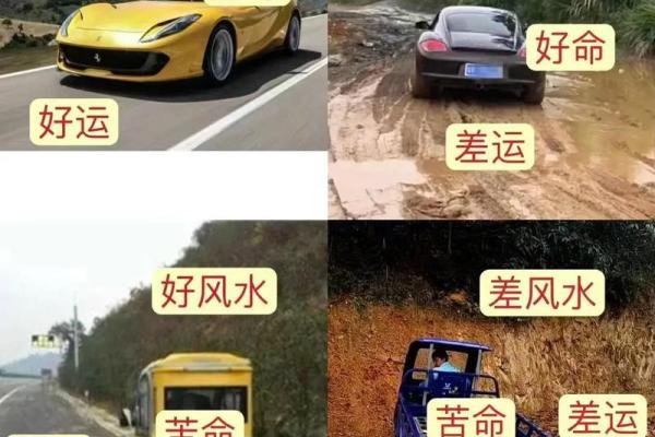 风水二五:家庭和谐与事业发展的秘密 风水二五:家庭和谐与事业发展的秘密