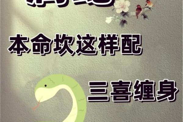 属蛇人在本命年如何做好自我保护 属蛇人在本命年如何做好自我保护