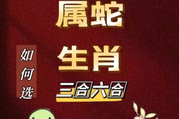 属蛇人在本命年如何做好自我保护 属蛇人在本命年如何做好自我保护