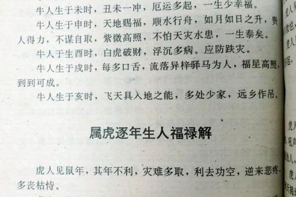 属虎的健康运势与注意事项