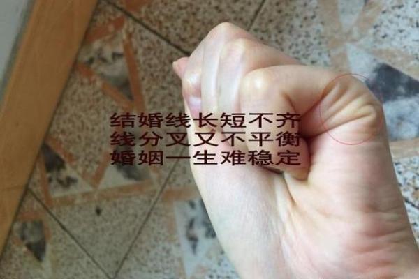 生肖一周运程报告：掌握未来一周的运势关键