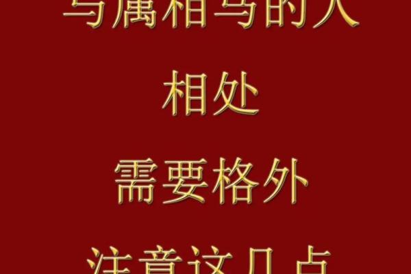 属龙与属马的性格碰撞是否和谐 属龙与属马的性格碰撞是否和谐
