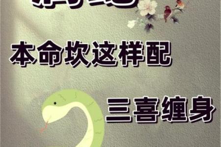 属蛇人在本命年如何做好自我保护