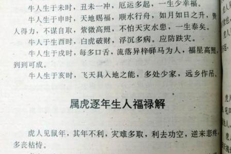 属虎的健康运势与注意事项