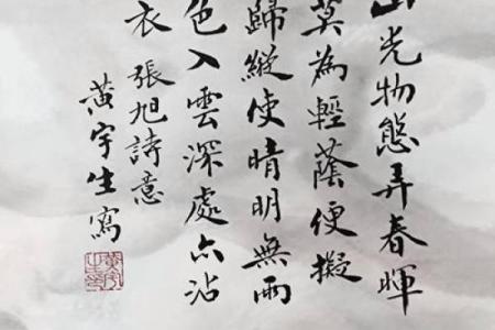 揀的五行属性分析：揭开其背后的深层含义