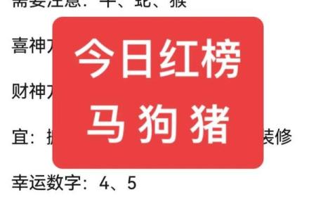 猪与马相配的性格与运势解读