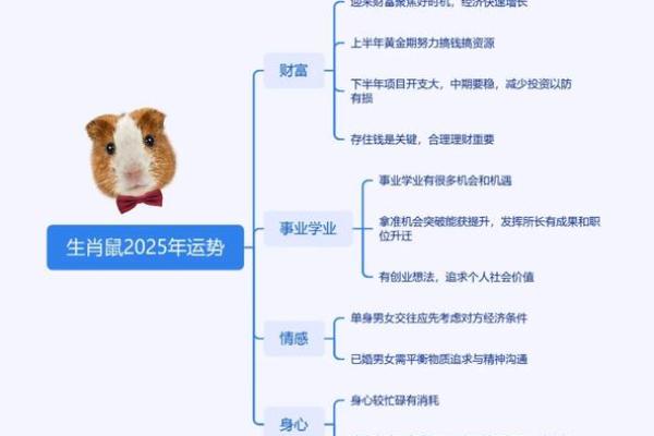 本命年鼠女如何制定个人发展计划 本命年鼠女如何制定个人发展计划