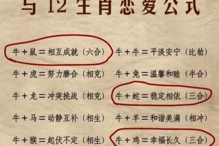 牛年宝宝起名中的生肖文化与命理分析