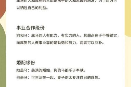 属鼠和属狗的婚配分析：是否天作之合