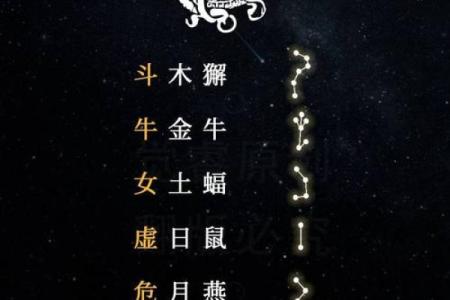 二十八星宿五行与日常生活的神奇联系