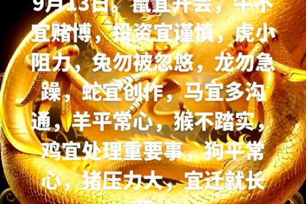 本命年鼠男如何调整饮食以增强运势 本命年鼠男如何调整饮食以增强运势