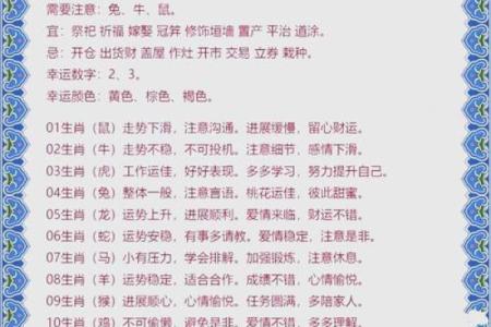 鸡年羊运程全面解析：运势如何走向？