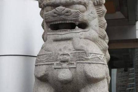 狮子名字的文化意义与历史渊源