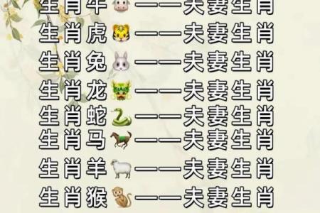 女属猪男属虎婚配的缘分与挑战解析