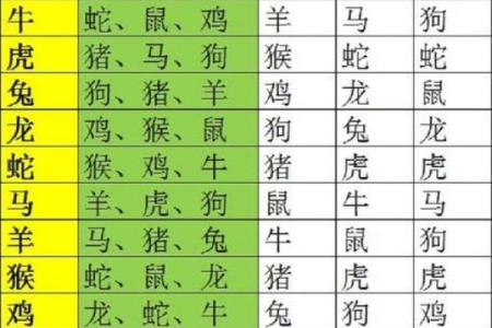 未命人代表的生肖是什么解析