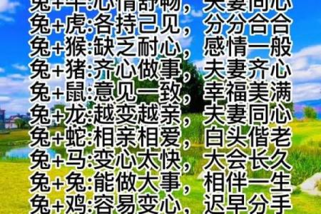 牛兔配对适合结婚吗 性格与运势相合吗