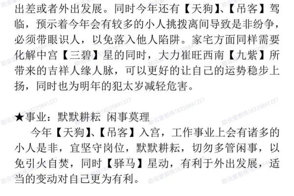 本命年马女如何避免事业低谷 本命年马女如何避免事业低谷