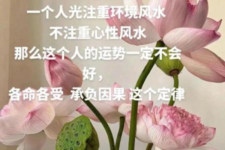 云浮办公环境风水如何影响员工运势