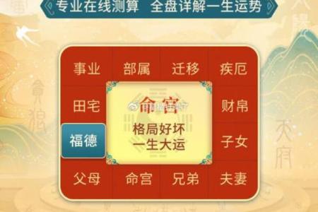 掌握金八字，轻松破解命运密码！