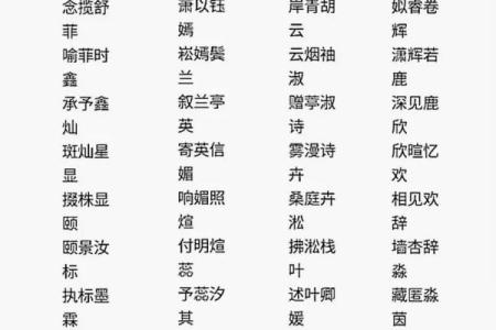 抖音账号起名全攻略，轻松打造专属风格