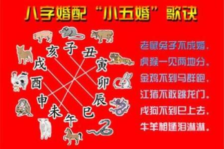 鼠与牛生肖配对的缘分解读