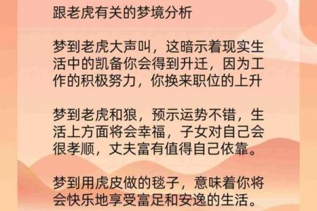 探秘虎人运程：运势大揭秘