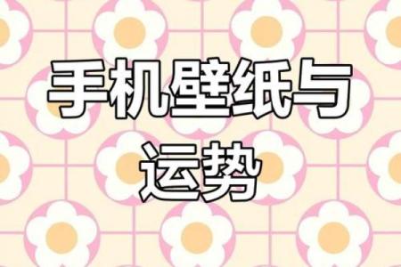 小米手机五行揭秘：适合你的手机隐藏在其中