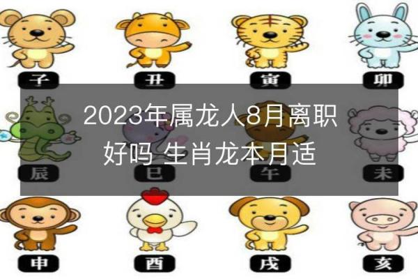 属龙与属兔的相处之道解析 属龙与属兔的相处之道解析