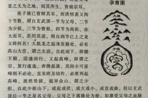 揭秘逼龙风水图的五大关键要素 揭秘逼龙风水图的五大关键要素
