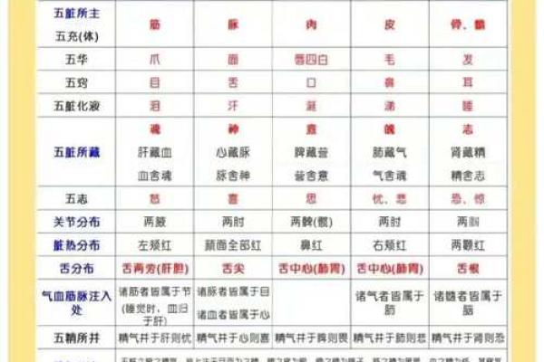 探索风水书中的五行理论与生活应用 探索风水书中的五行理论与生活应用