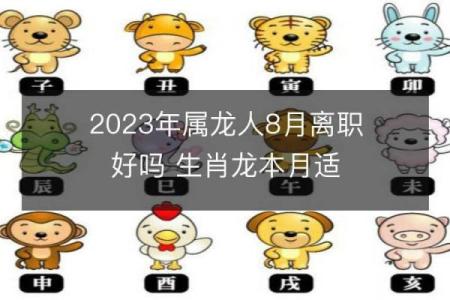 属龙与属兔的相处之道解析