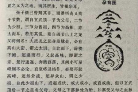 揭秘逼龙风水图的五大关键要素