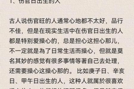 重妻命的含义与文化背景解析