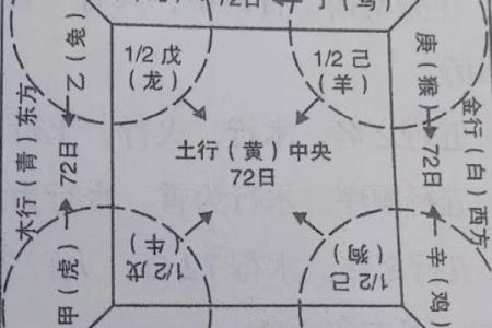 梦的五行与人生运程的神秘关联