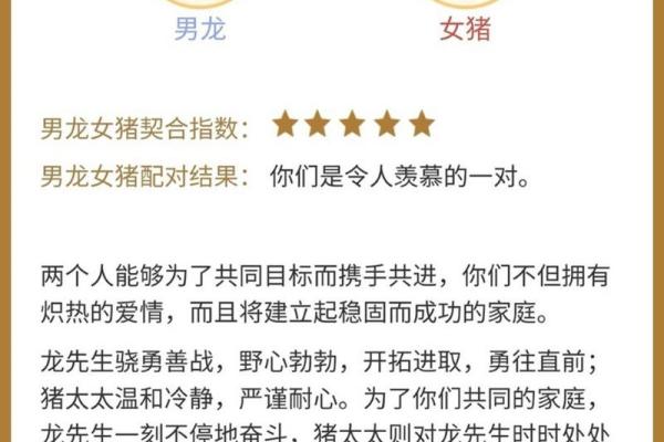 男属龙女属龙婚配是否和谐?性格与命运的相互影响分析 男属龙女属龙婚配是否和谐?性格与命运的相互影响分析