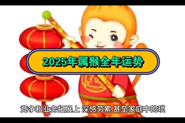 属猴人的命运轨迹：不同阶段的运势变化