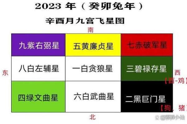 生肖运程解析：每个生肖的吉凶运势