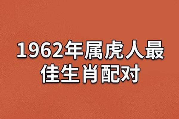 属牛与属虎的配对是否和谐,解读两者性格差异与合适度 属牛与属虎的配对是否和谐,解读两者性格差异与合适度