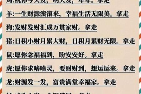 生肖运程：好运与挑战并存