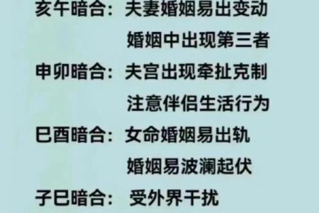 本命年马女的婚姻和家庭和谐之道