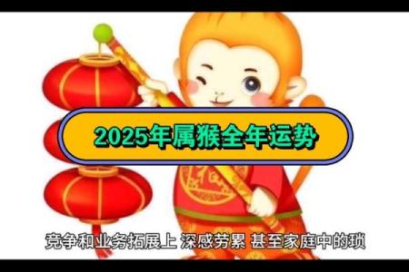属猴人的命运轨迹：不同阶段的运势变化