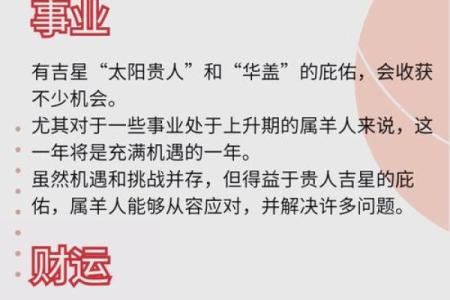 羊人运势全面剖析