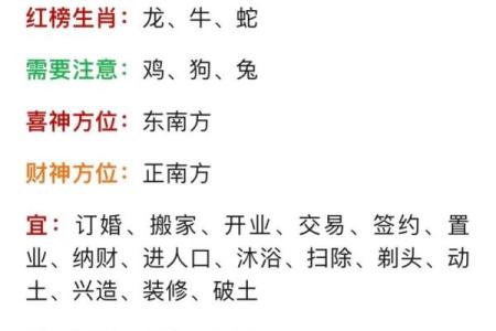 十年运程预测：生肖如何应对未来十年的挑战与机遇