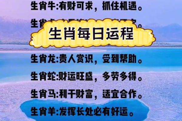 今日十二生肖运势解析，看看你的运程如何