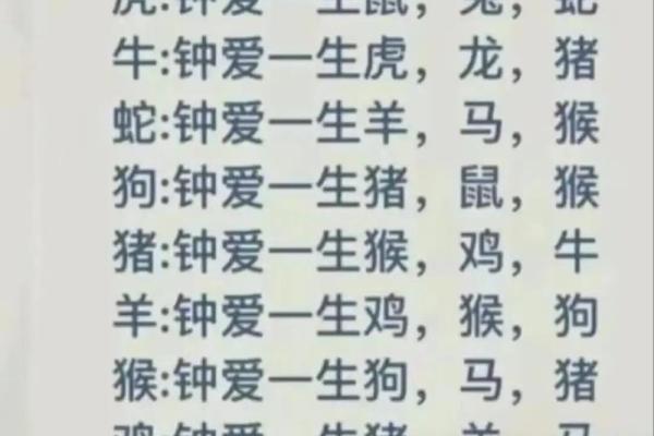鼠虎生肖配对解析 适合长久吗 鼠虎生肖配对解析 适合长久吗