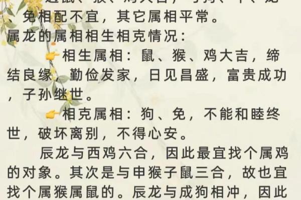鼠虎生肖配对解析 适合长久吗 鼠虎生肖配对解析 适合长久吗