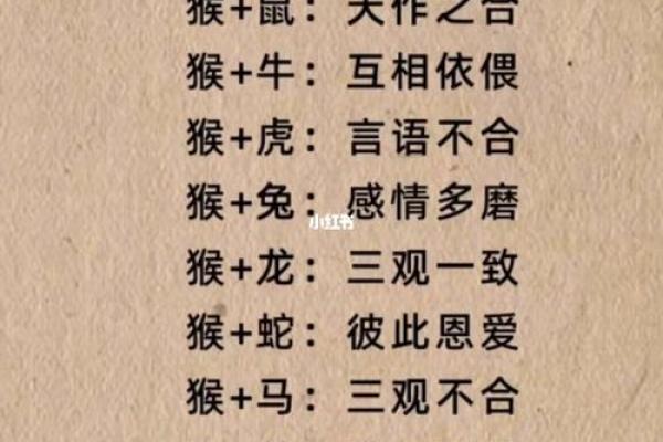 属猪女与属鼠男的配对分析:两者性格与婚姻契合度如何 属猪女与属鼠男的配对分析:两者性格与婚姻契合度如何
