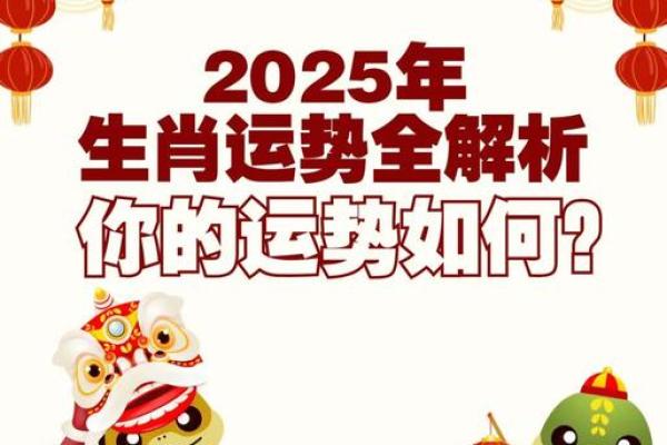 生肖运势全解析，哪些生肖将面临挑战？