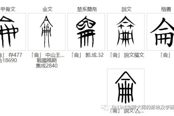美字五行属性解析及其对命理的影响