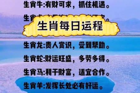 今日十二生肖运势解析，看看你的运程如何